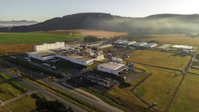 McCain celebra 30 años en Argentina con la planta de papas prefritas congeladas más grande en Latinoamérica