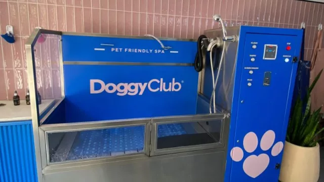 Doggy Club, el espacio “human friendly” para bañar a tu mascota (y que quiere convertirse en franquicia)