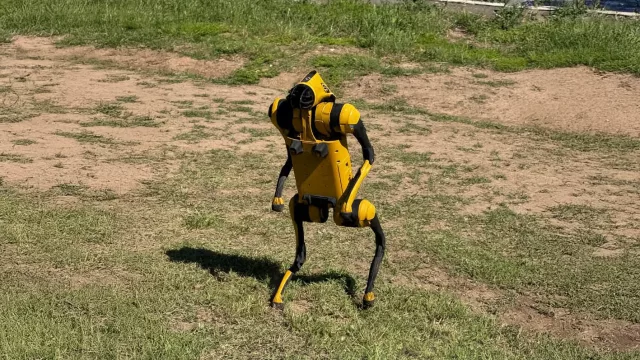 Óptima Seguridad (Consultores de Empresas) ya sumó “perros”, drones e IA para potenciar la seguridad de las empresas